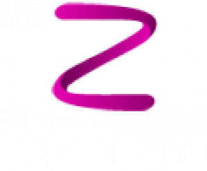 Microbizz